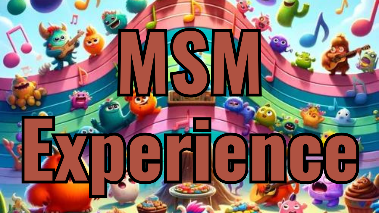 MSM Experience