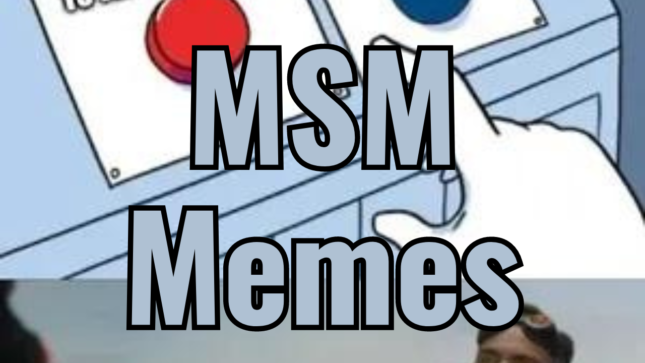 MSM Memes